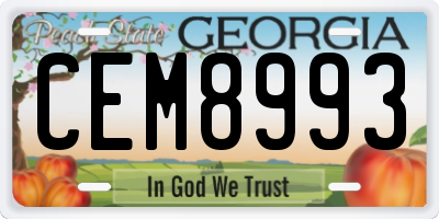 GA license plate CEM8993