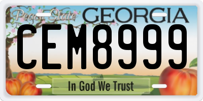 GA license plate CEM8999