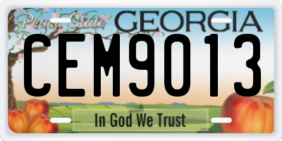 GA license plate CEM9013