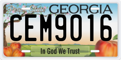 GA license plate CEM9016