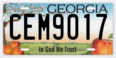 GA license plate CEM9017