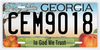 GA license plate CEM9018