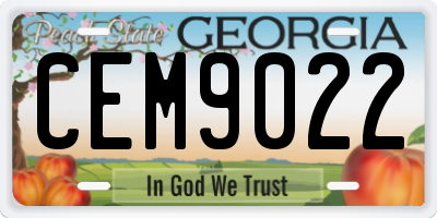 GA license plate CEM9022