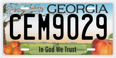 GA license plate CEM9029