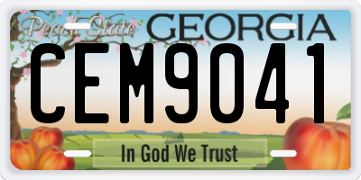 GA license plate CEM9041