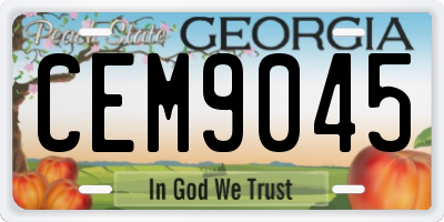 GA license plate CEM9045