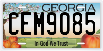 GA license plate CEM9085