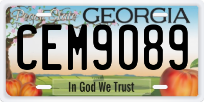 GA license plate CEM9089