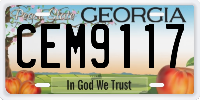 GA license plate CEM9117