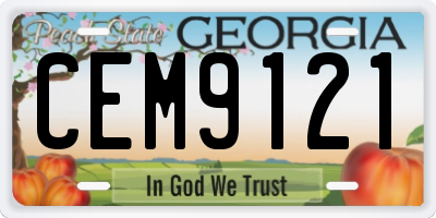 GA license plate CEM9121