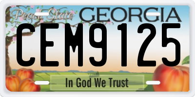 GA license plate CEM9125