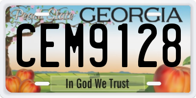 GA license plate CEM9128