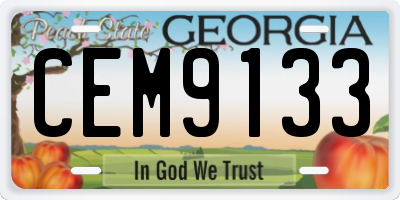 GA license plate CEM9133