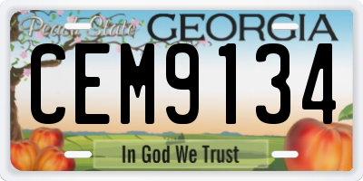 GA license plate CEM9134