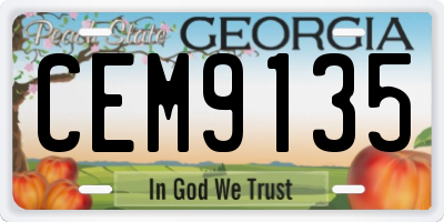 GA license plate CEM9135