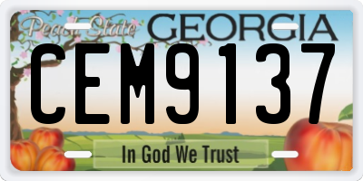 GA license plate CEM9137