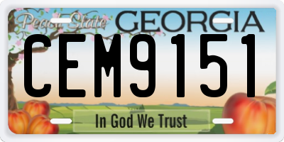 GA license plate CEM9151