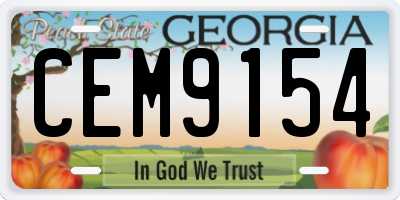 GA license plate CEM9154