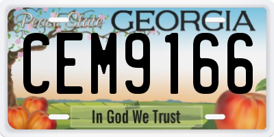 GA license plate CEM9166
