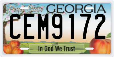 GA license plate CEM9172