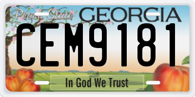 GA license plate CEM9181