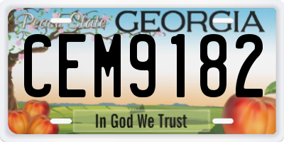 GA license plate CEM9182