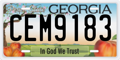 GA license plate CEM9183