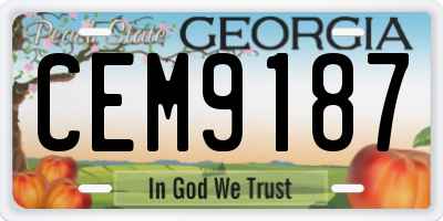 GA license plate CEM9187