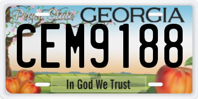 GA license plate CEM9188