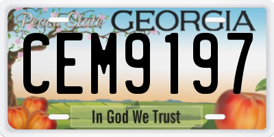 GA license plate CEM9197