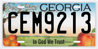 GA license plate CEM9213