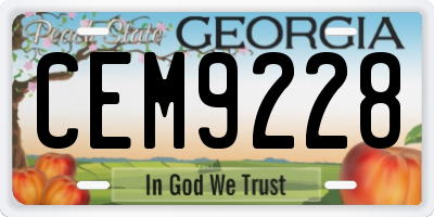 GA license plate CEM9228