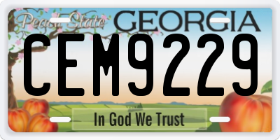 GA license plate CEM9229
