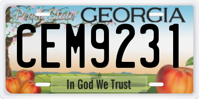 GA license plate CEM9231