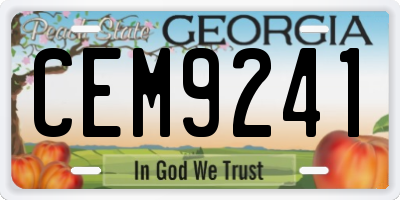 GA license plate CEM9241