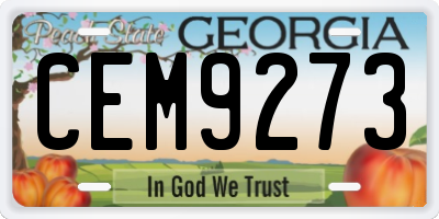 GA license plate CEM9273