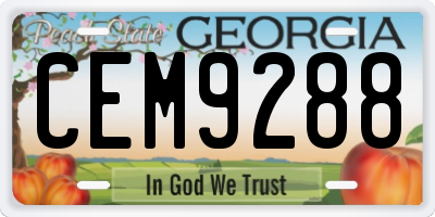 GA license plate CEM9288
