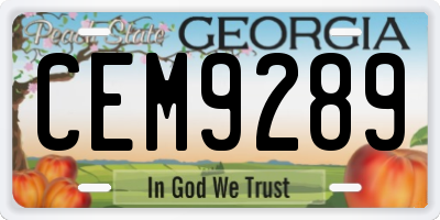 GA license plate CEM9289