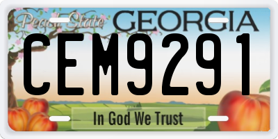 GA license plate CEM9291