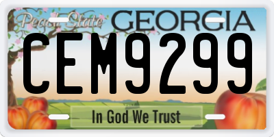 GA license plate CEM9299