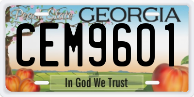 GA license plate CEM9601