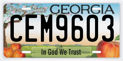 GA license plate CEM9603