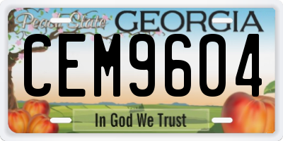 GA license plate CEM9604