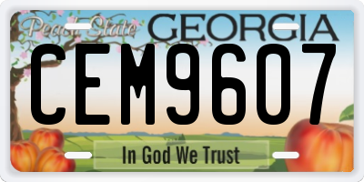 GA license plate CEM9607