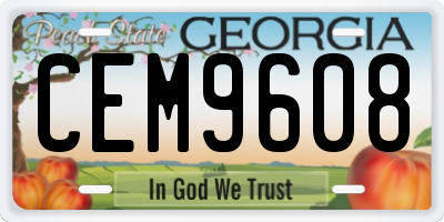 GA license plate CEM9608