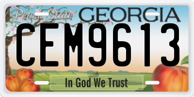GA license plate CEM9613