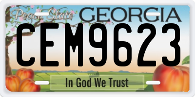 GA license plate CEM9623