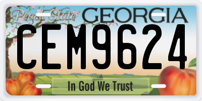 GA license plate CEM9624