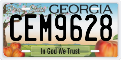 GA license plate CEM9628