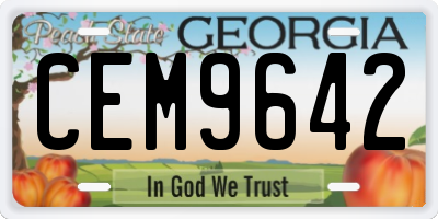 GA license plate CEM9642